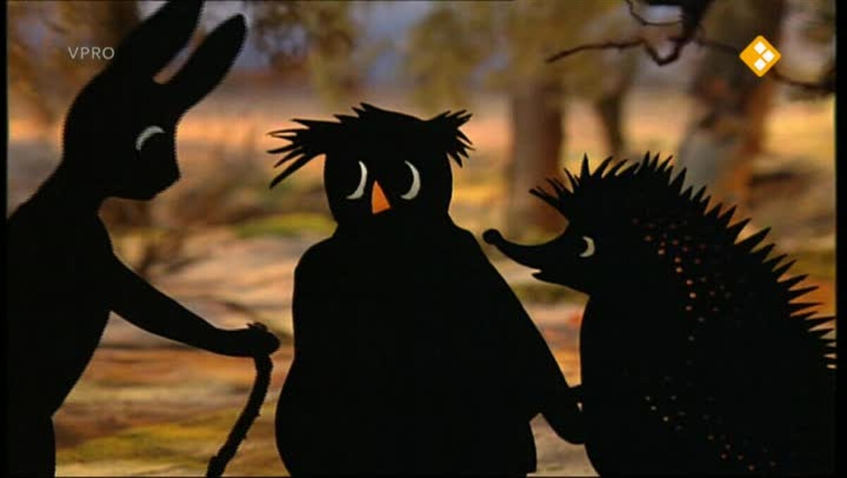 Een feest voor iedereen - Verhalen van de boze heks: Een feest voor